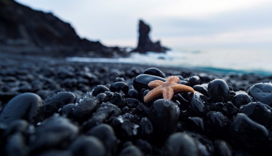 Have you been to Iceland’s black sand beaches?